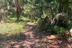 1735 Timocuan Way, Longwood, FL 32750 - Photo 20