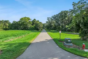 3654 Hidden River Ln, Tavares, FL 32778 - Photo 36