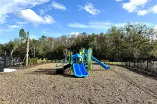 3244 Skyline Loop, Kissimmee, FL 34758 - Photo 16