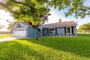 3131 Spikey Way, Kissimmee, FL 34744 - Photo 2