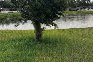 4592 Big Island Dr, Kissimmee, FL 34746 - Photo 18