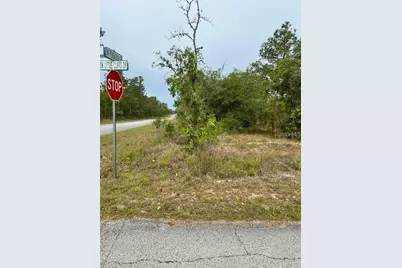 Southwest Pensacola Drive, Dunnellon, FL 34431 - Photo 6