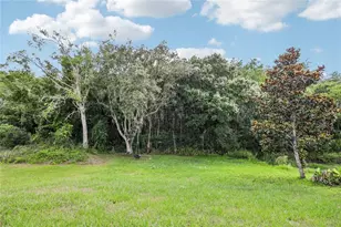 1982 Locust Berry Dr, Kissimmee, FL 34743 - Photo 48