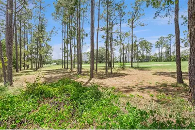 259 N Hampton, Davenport, FL 33897 - Photo 50