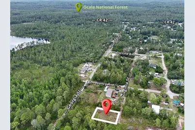 56309 Virginia Street, Paisley, FL 32767 - Photo 4