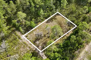 56309 Virginia St, Paisley, FL 32767 - Photo 1