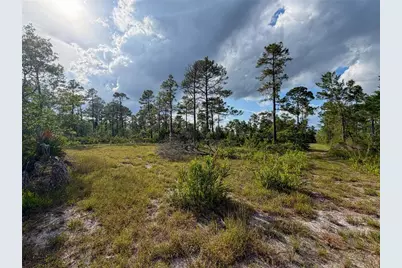 56309 Virginia Street, Paisley, FL 32767 - Photo 6