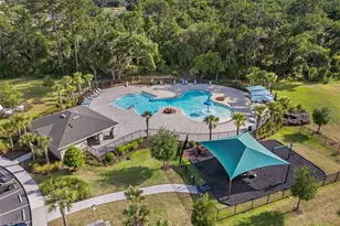 2722 Puffin Pl, Davenport, FL 33837 - Photo 16