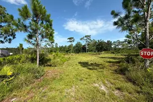 6139 Krazy, Saint Cloud, FL 34773 - Photo 1