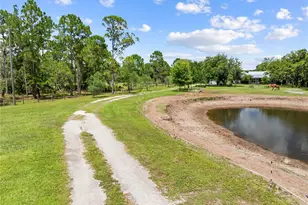 4295 Rambler Ave, Saint Cloud, FL 34772 - Photo 98