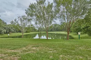 8515 Crystal Cove Loop, Kissimmee, FL 34747 - Photo 28