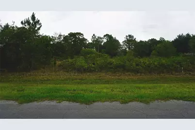 Reynolds Parkway, Orlando, FL 32833 - Photo 1