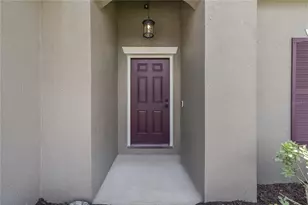 2517 Isabela Terrace, Kissimmee, FL 34743 - Photo 4