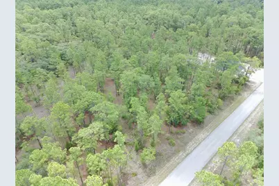 Sw Buena Vista Road, Dunnellon, FL 34431 - Photo 2