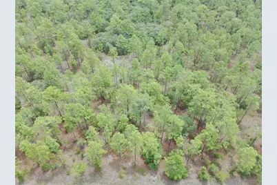 Sw Buena Vista Road, Dunnellon, FL 34431 - Photo 6