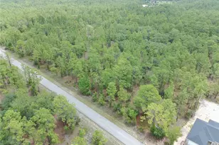 SW Buena Vista Rd, Dunnellon, FL 34431 - Photo 1