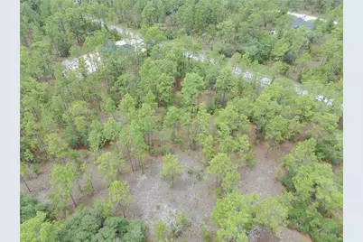 Sw Buena Vista Road, Dunnellon, FL 34431 - Photo 4