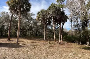 [Address not provided], Crystal River, FL 34428 - Photo 20