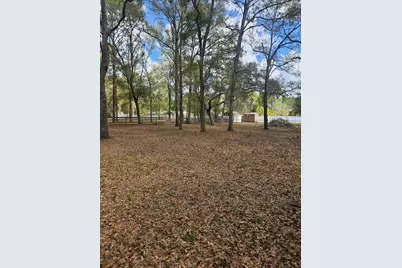5463 E Tangelo Lane, Inverness, FL 34453 - Photo 4