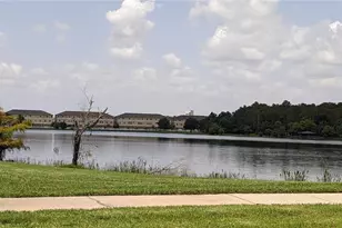10799 Gran Paradiso Dr, Orlando, FL 32832 - Photo 8