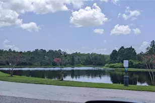 10799 Gran Paradiso Dr, Orlando, FL 32832 - Photo 10