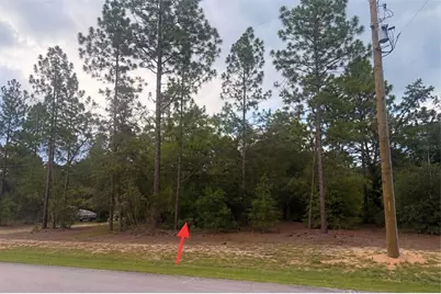 67Xx SW 207th Court, Dunnellon, FL 34431 - Photo 2