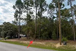67Xx SW 207th Ct, Dunnellon, FL 34431 - Photo 1