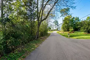 Satsuma Rd, Chattahoochee, FL 32324 - Photo 1