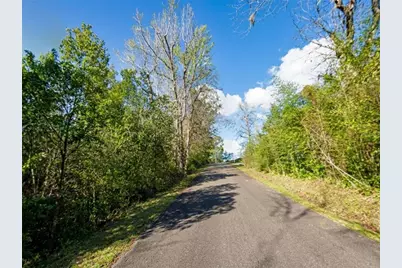 Satsuma Rd, Chattahoochee, FL 32324 - Photo 2