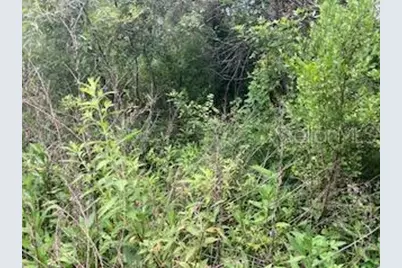Sweetwater Trail, Kissimmee, FL 34747 - Photo 1