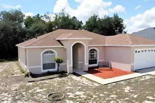 310 Kingfish Dr, Kissimmee, FL 34759 - Photo 4