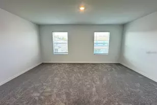 2655 Buttercup Lucine Ln, Ruskin, FL 33570 - Photo 18