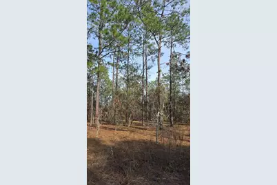0 NW Alvarez Rd N NW Alvarez Rd Highway, Dunnellon, FL 34431 - Photo 1