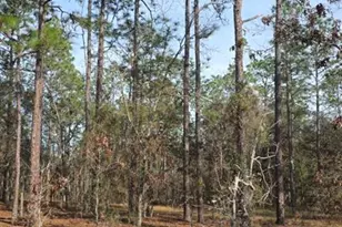 0 NW Alvarez Rd N NW Alvarez Rd Hwy, Dunnellon, FL 34431 - Photo 1