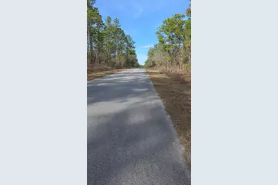 0 NW Alvarez Rd N NW Alvarez Rd Highway, Dunnellon, FL 34431 - Photo 2