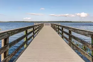 3214 Needlegrass Ln, Harmony, FL 34773 - Photo 68