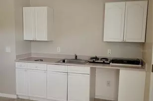 1325 Washington Palm Loop, Davenport, FL 33897 - Photo 4
