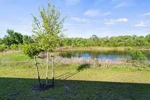 4224 Sagefield Dr, Harmony, FL 34773 - Photo 2
