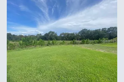 3992 Fescue Street, Clermont, FL 34714 - Photo 24