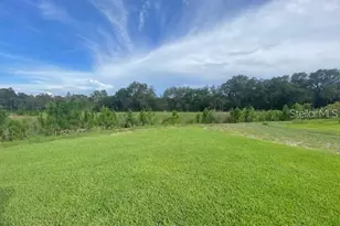3992 Fescue St, Clermont, FL 34714 - Photo 24