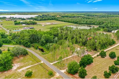 Green Swamp Road, Clermont, FL 34711 - Photo 8