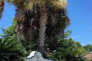 375 Lake Ontario Ct, Altamonte Springs, FL 32701 - Photo 12