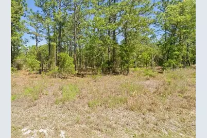 Sw Harbor Hills Rd, Dunnellon, FL 34431 - Photo 2