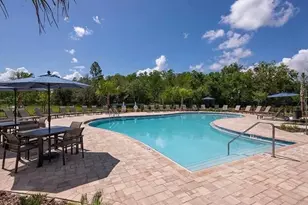 3356 Composition St, Kissimmee, FL 34758 - Photo 16