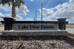 3185 Viceroy Ct, Kissimmee, FL 34759 - Photo 30