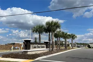 3185 Viceroy Ct, Kissimmee, FL 34759 - Photo 32