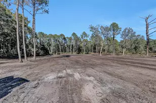141 Woods Rd, San Mateo, FL 32187 - Photo 56