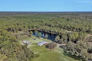 141 Woods Rd, San Mateo, FL 32187 - Photo 42