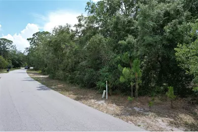 1008 Wildflower Street, Lake Placid, FL 33852 - Photo 2