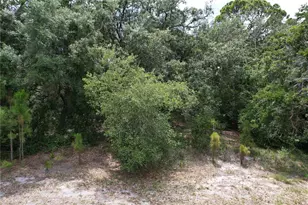 1008 Wildflower St, Lake Placid, FL 33852 - Photo 1